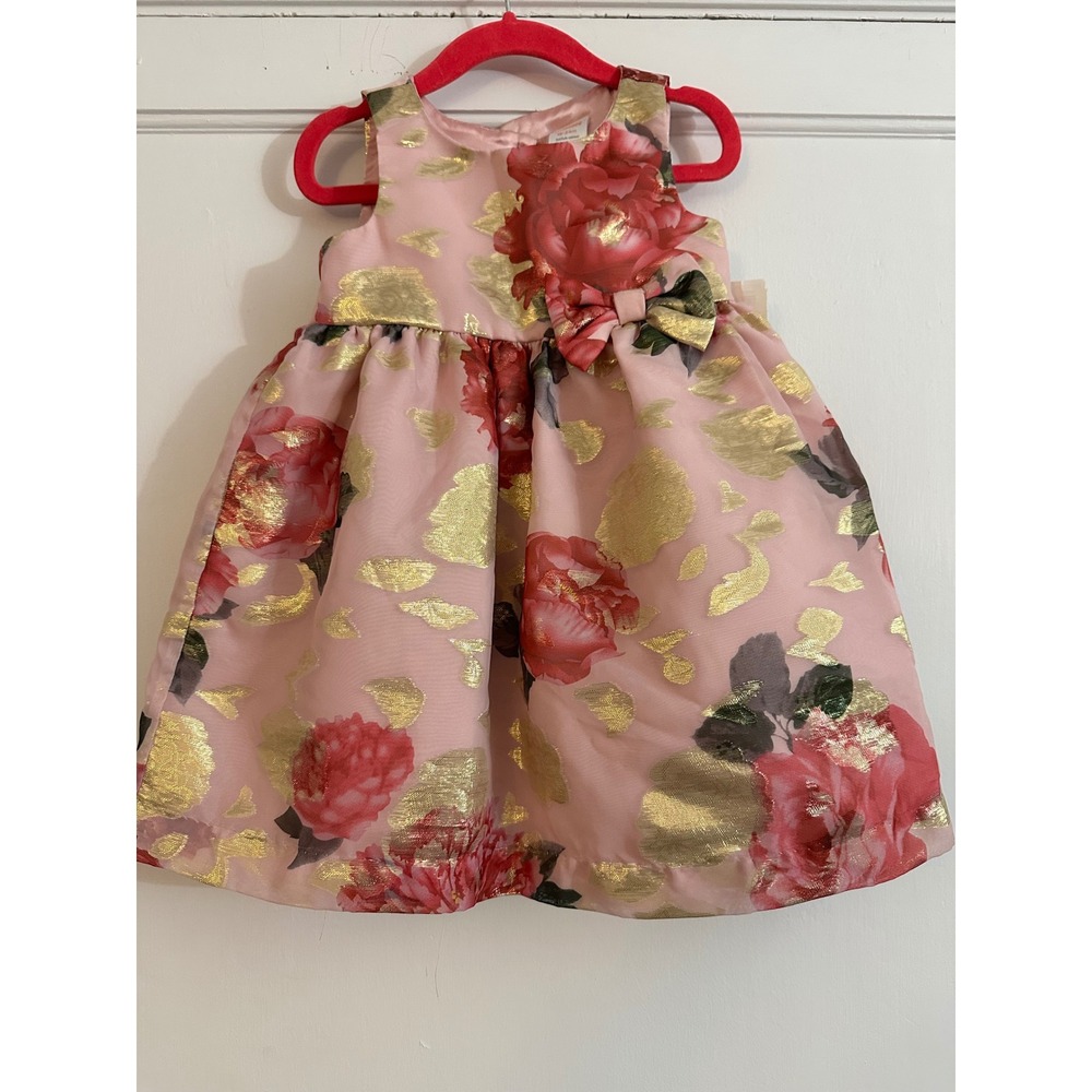 Gymboree Girls Pink‎ Floral Gold Metallic Bow Party Dress 18 24 Months